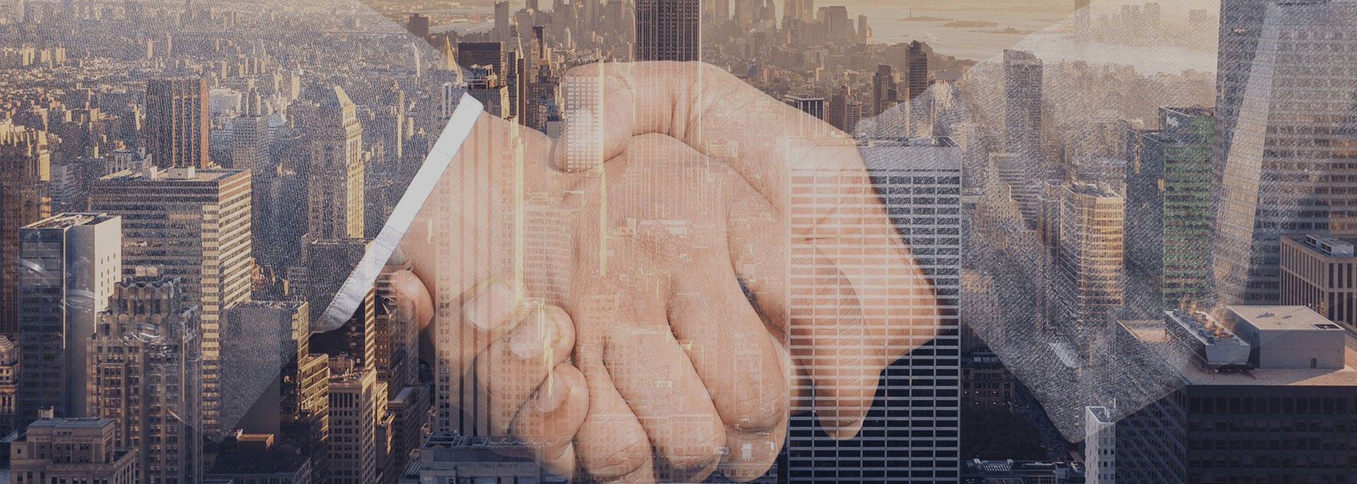 2025新澳门免费原料大全